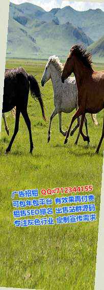 北京代怀文化公司
